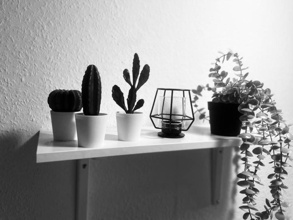 Komfortables Apartment カールスルーエ エクステリア 写真
